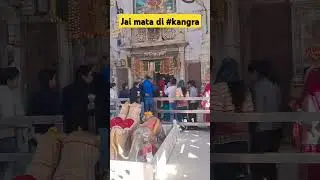 Jai Maa Brajeshwari ji ki ❤️🙏 #ytshorts #kangra