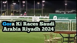 number 14🇸🇦🐎🐎🐎✅ Gora ke race Saudi Arabia ke Riyadh Mein KUCCH HAI TO 2024 11 14 KHT