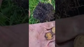 NZ spendies!! metal detecting NZ#coins#onedollar#pocketspill#newzealand