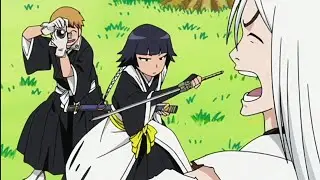 Illustrated Guide To Soul Reapers #93 | English Dub |