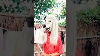 Gha se  ghar।  #funny  #shorts  #ranujanaraja  #ytshorts