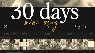 Day (1/30) | pretty much nothing yet enjoy :)