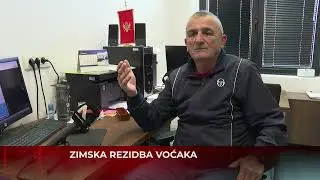 Zimska rezidba voćaka