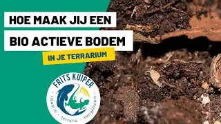 Bioactieve bodem maken voor terrarium | Terrariumtips Frits Kuiper