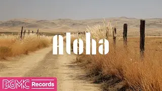 Hawaiian Music for Golden Fields and a Peaceful Path | Calm Mornings and Gentle Focus