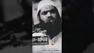 আল্লামা মামুনুল হক April 25, 2024