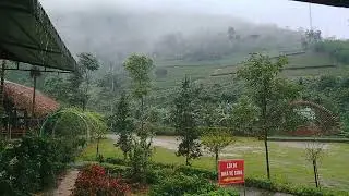 Taifun Matmo