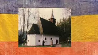 TEZAUR NAȚIONAL  - STEAGUL DE LA LUPȘA