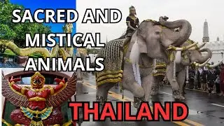 12 Sacred and Mythical Animals in Thai Culture: Thai Traditions and Buddhist Symbolism