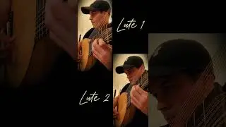 Dowland&rsquo;s  &ldquo;My Lord Willoughby&rsquo;s Welcome Home&rdquo; 🎶 Performed on the Lute #Shorts