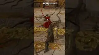 #soulsborne #eldenringpvp #eldenring #eldenringpvp #fromsoftware