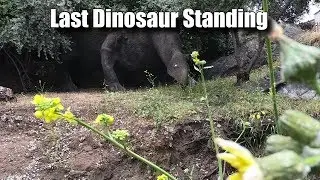 Last Dinosaur Standing...with Outtakes!  ||  Honda NC700x