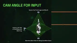 AI Veterinary Assistant - Overview of how our System works?