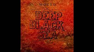 DEEP BLACK SEA - WAYFARER