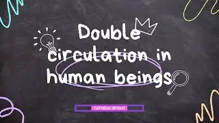 Double circulation in human beings class 10 📝