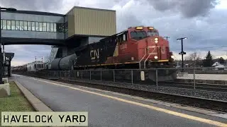 EB CN M306 to Elmwood