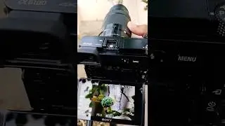 Testing of sony Alpha A6100 📸 zoom lens photography #sonyalpha #ytshort #youtubeshorts #shortvideo
