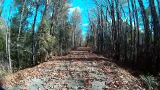 Fall E Bike on the Cowichan Valley Trail