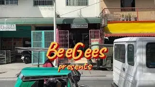 BeeGees to Success