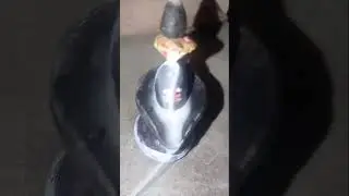 Kapoor Gauram song smoking Bholenath Murti #shortvideo 🙏🏻🚩🥰😍😘😯