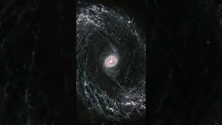 Webb Telescope Reveals Intricate Networks of Gas, Dust in Nearby Galaxies!