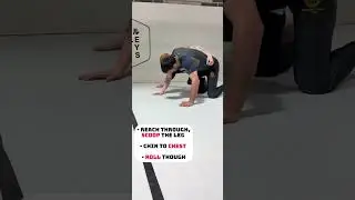 Dog fight ➡️ saddle #bjj #craigjones #brazillianjiujitsu