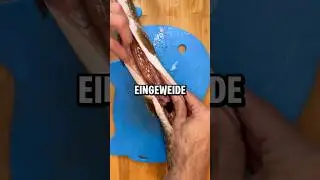 HECHT Ausnehmen leicht erkl&auml;rt 🎣