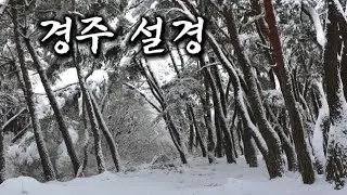 하안눈과 함께 천년고도 경주여행