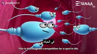 الإخصاب هو بداية حياة جديدة!
