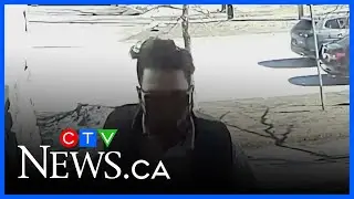 Rash of porch pirate incidents in Barrie caught on camera