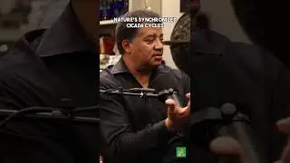 The 2024 Cicada Invasion Explained with Neil deGrasse Tyson and Jessica Ware