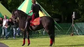 Amazing Footage of a Falcon Bird of Prey Flying Under a Horse