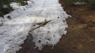 Spring Trail Conditions in Northern New England