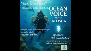 Ocean Voice | Episode 2: The Sunlight Zone (කතා කරන මුහුද - | ආලෝකයෙන් පිරුණු මුහුදු තට්ටුව )
