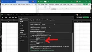 Change Microsoft Excel color theme to BLACK, WHITE, or GREEN.