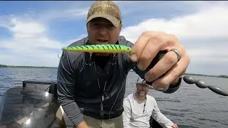 Original Floating Rapala Underwater Video