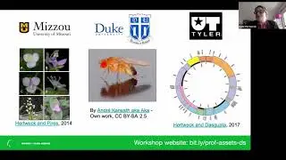 Kate Hertweck = Workshop: More than code: Professional assets in data science careers
