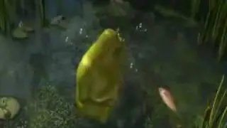 Shrek 1   All Star