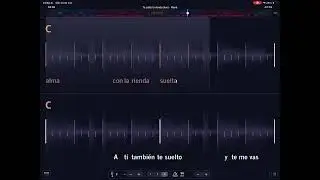 Te solt&eacute; la rienda backing track 