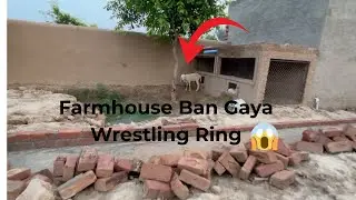 Cat Aur Sheep Ki Takraar &ndash; Farmhouse Ban Gaya Wrestling Ring