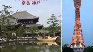Japan Vlog | Nara and Kobe | Travel dairies