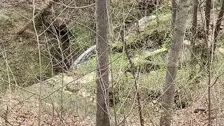Welcome to Tioga Falls