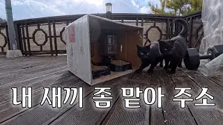 엄마는 밥만 먹고 갔습니다.