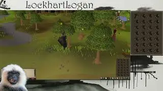 Runescape Day 5 | Mining Level 50 and Combat Lvl 20!