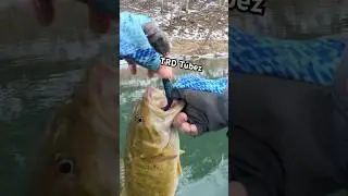 Крошечные трубки зимой!