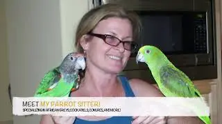 MY PARROT SITTER - Premium Bird Boarding Service SF Bay Area 2021