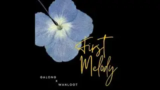 หมีแบกกล้อง - GALONG x WANLOOT【Official Audio】