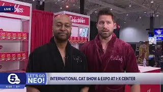 International Cat Show & Expo at I-X Center Saturday