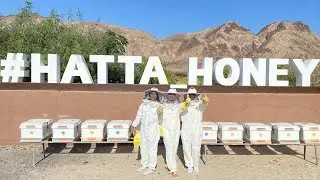 Day 35: Hatta Honey Bee Discovery Centre