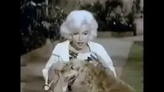 Beautiful-A tribute to Marilyn Monroe